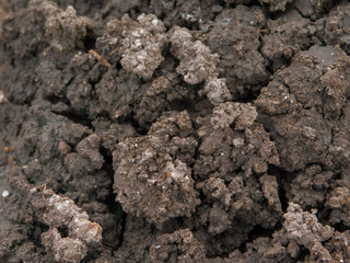 texture of soil