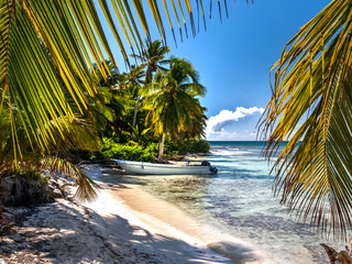 Fototapeta na wymiar Exotic palm trees on a Caribbean beach showing white sand and deep blue sky with azure sea and a moored boat. 