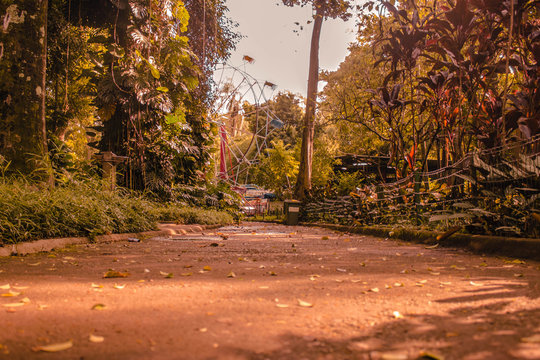 Roda gigante no parque