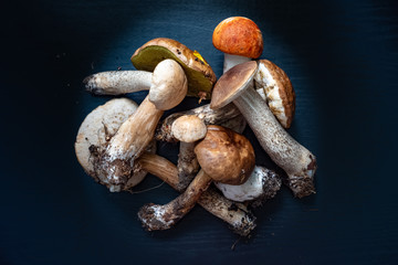 Forest mushrooms, aspen,boletus. - nature of Russia.Moscow region.Russia.2019
