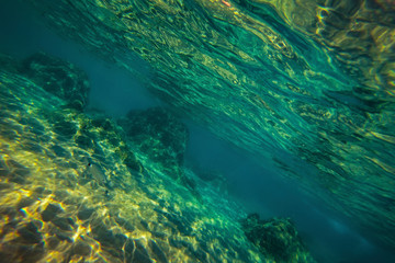Fototapeta na wymiar Underwater view of sea bottom. Abstract green background.