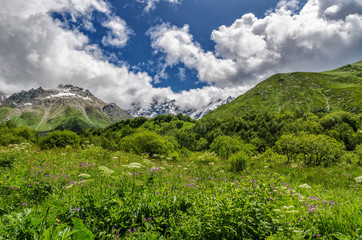 Fototapeta na wymiar Georgia, Svaneti, Trek from Ushguli to Shkhara glacier. Beautiful view of valley, multi-colored ,Nature and travel.