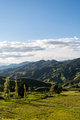 &aacute;rboles y monta&ntilde;as 