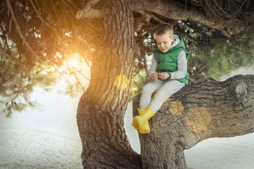 Happy childhood, little boy sits in a tree on sunny day, family