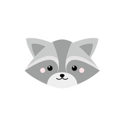Cute flat raccoon