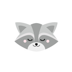 Cute sleepy raccoon