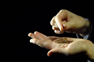 Close-up of fingers holding seed of flax in hand on a black background.