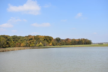 landscape with river and trees