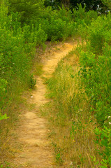 trail on the mountain