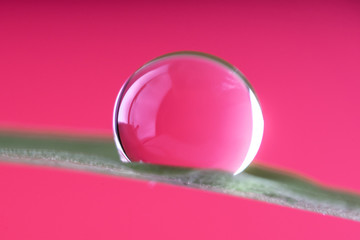 stand alone water drops on leaf with reflections