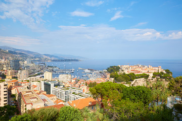 Fototapeta na wymiar Monte Carlo city high angle sea view and coast with mediterranean vegetation in Monte Carlo, Monaco