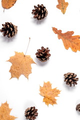 Autumn composition. Pattern made of dried leaves, cones on white background. Autumn and thanksgiving day concept. Flat lay, top view, copy space