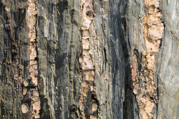 Close up view of rocks at Lee Bay beach.