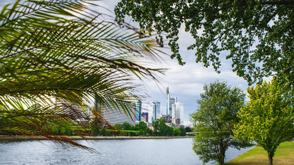 frankfurt am main with a view of skyscrapers in the green