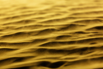 Golden sand ripples horizontal texture with dust storm, wind, particles of sand