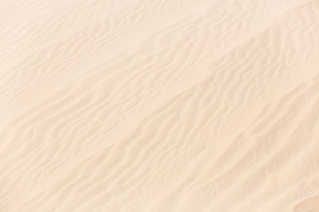 Obraz premium White sand ripples texture diagonal