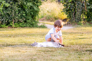 Little happy boy plaving with funny cat on green grass in garden outdoors. Patient pet.  Carefree...