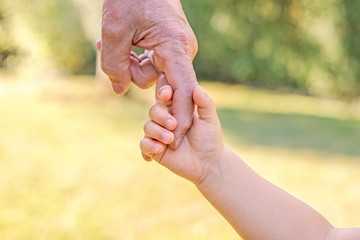 Grandfather and grandson holding hands. Little child hand holding big finger of his old father. Different generation family bonding. Love, care and trust concept.