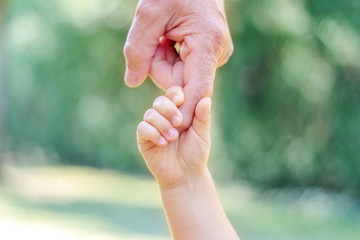 Grandfather and grandson holding hands. Little child hand holding big finger of his old father....