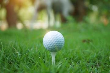 Golf ball on tee in beautiful golf course at sunset background.