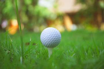 Golf ball on tee in beautiful golf course at sunset background.