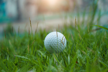 Golf ball on tee in beautiful golf course at Thailand. Collection of golf equipment resting on green grass with green background