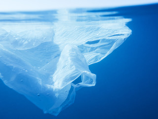 plastic bag floating underwater at sea
