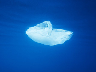 plastic bag floating underwater at the ocean
