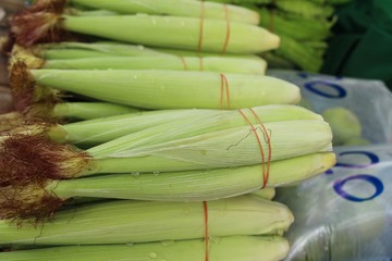 baby corn for cooking at street food