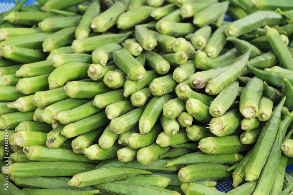 Sticker Fresh okra for cooking at street food