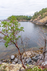 View over Inlet, ocean and island with rocks and mountains in beautiful British Columbia. Canada.