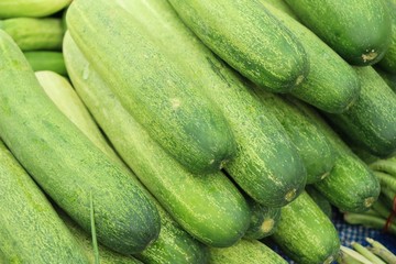 Fresh cucumbers for cooking in the market