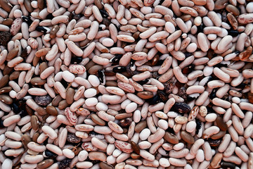 Colorful bean texture background.