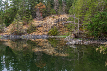 Fragment of Mountain Lake with Green Water in British Columbia, Canada.