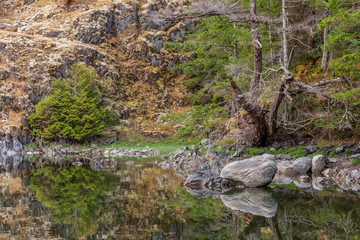 Fragment of Mountain Lake with Green Water in British Columbia, Canada.