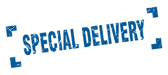 special delivery stamp. special delivery square grunge sign. special delivery