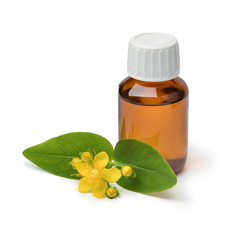 St John's wort flower and oil