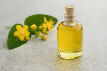 St John's wort flower and oil