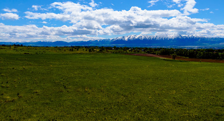 green field and blue sky