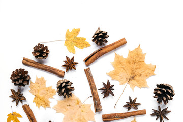Dried maple leaves, cinnamon, cones on white background. Autumn and thanksgiving day concept. Flat lay, top view, copy space