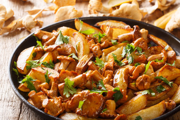 Freshly cooked potato wedges with wild chanterelle mushrooms close-up on a plate. horizontal