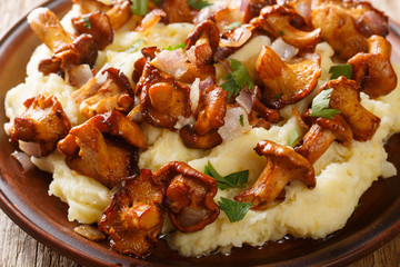 Fried chanterelle forest mushrooms with mashed potatoes close-up on a plate. horizontal