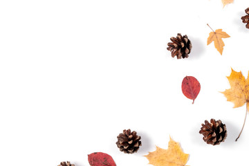Autumn composition. Dried leaves, cones on white background. Autumn, fall, thanksgiving day concept. Creative Flat lay, top view, copy space