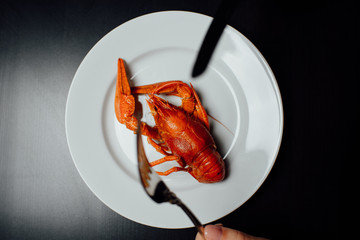 boiled crayfish on a black background