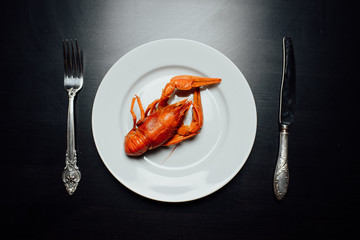 boiled crayfish on a black background