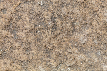 Old Weathered Natural Stone Texture