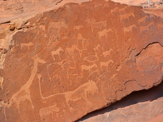 Petroglyphs in Twyfelfontein (Afrikaans: uncertain spring), officially known (Damara/Nama: jumping...