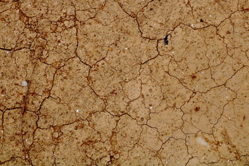 Textura del suelo