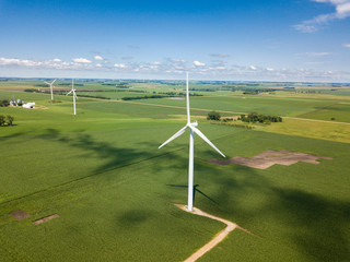Wind turbines spinning in corn fields near Pipestone, Minnesota. © Wollwerth Imagery
