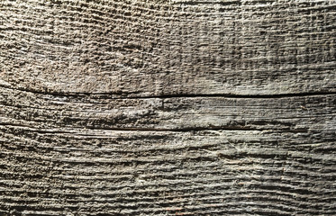 Old dry tree, wood texture background